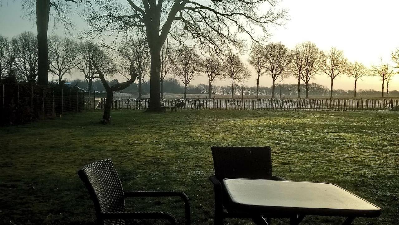 Couette-café 't Rond Bargie Exloo